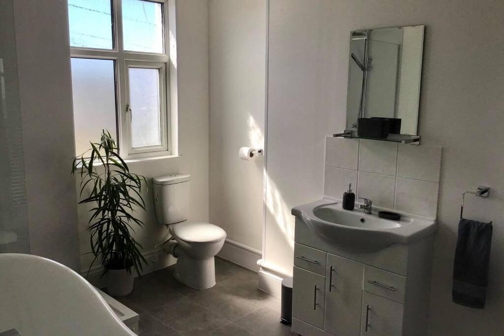 Large 5 Bed 3 Bath House 300 Meters From Beach And Restaurants New Quay Kültér fotó